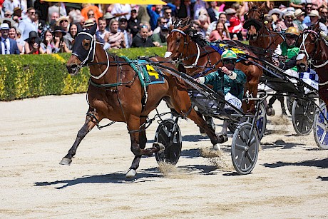 The Big Lebowski and Blair Orange are too good in the Junior Free-for-all at Addington on cup day. PHOTO: Ajay Berry/Race Images.