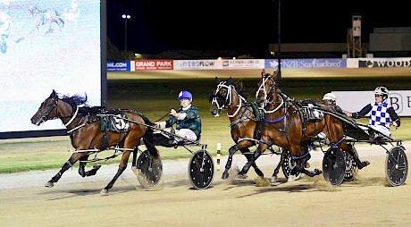 Angelic Copy (Zachary Butcher) remains unbeaten, beating debutante Ms Collins. PHOTO: Megan Liefting/Race Images.