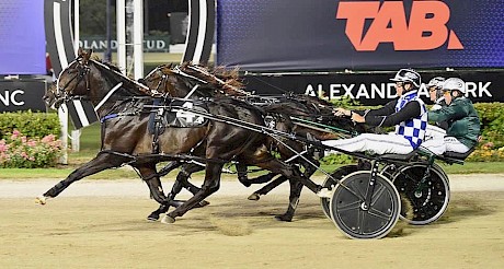 Lincoln Lover (Peter Ferguson), centre, rallies bravely to just go under to Allamericanplayer. PHOTO: Megan Liefting/Race Images.