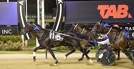 Frisco Bay, inner, runs second to Jolimont in the Founders’ Cup at long odds. Little Spike is third. PHOTO: Megan Liefting/Race Images.