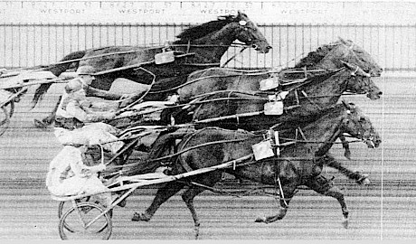The world’s first triple dead-heat at Westport on December 27, 1957. Inside to out: Wimpy (J Butterick), Night Owl (G Cameron) and Keff (M Flaws).