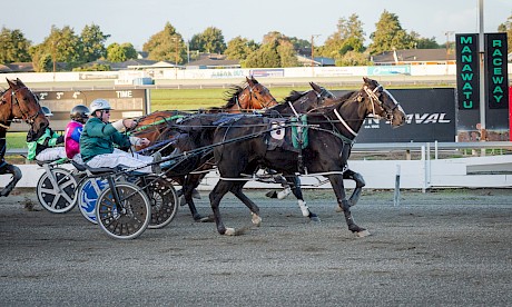 Onyx Shard and Peter Ferguson stave off Dixieland Delight at Manawatu. PHOTO: Jack McKenzie/Race Images.