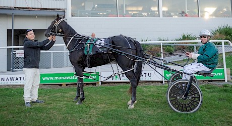 Co-trainer Nathan Delany with Onyx Shard who kept up Lincoln Farms’ good recent record at Manawatu. PHOTO: Jack McKenzie.