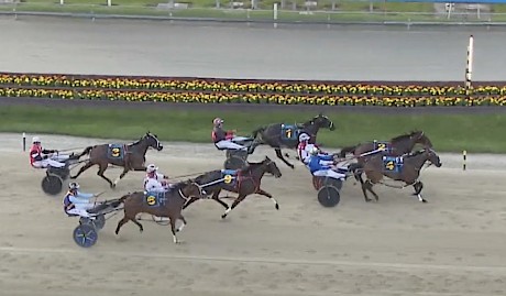 The Queen’s Gambit looked a winner-in-waiting when a close fourth on debut at Addington.