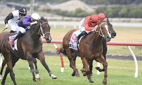 Platinum Attack and Matt Cartwright launch at Glamour Tycoon late but come up a nose short. PHOTO: Peter Rubery/Race Images.