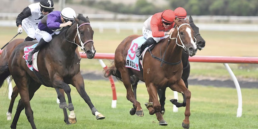 Platinum Attack and Matt Cartwright launch at Glamour Tycoon late but come up a nose short. PHOTO: Peter Rubery/Race Images.