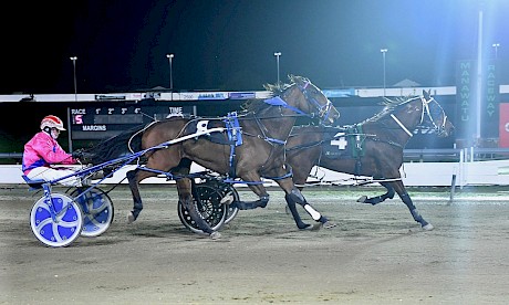 Leo Lincoln repels the challenge of Rough And Ready at Manawatu tonight. PHOTO: Peter Rubery/Race Images.