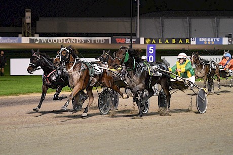 Whats Up The Hill, centre, does everything right to score at Auckland two starts back. PHOTO: Megan Liefting/Race Images.