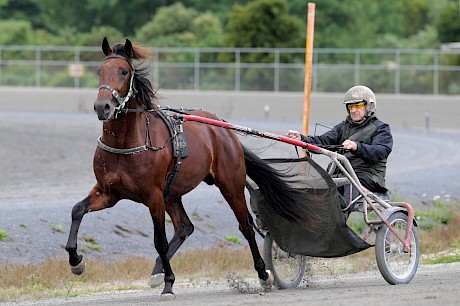 Trainer Ray Green driving Johnny Lincoln - “He feels like he’s got a bit of lick.” PHOTO: Trish Dunell.