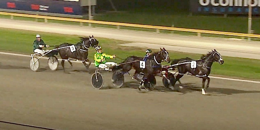 Johnny Lincoln ran a bold third on debut at Cambridge behind Fitroy and Nymbal.