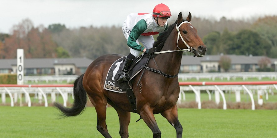 Jack Taplin, who had his first ride on Mercurial last Saturday, teams with Billy Lincoln. PHOTO: Trish Dunell.