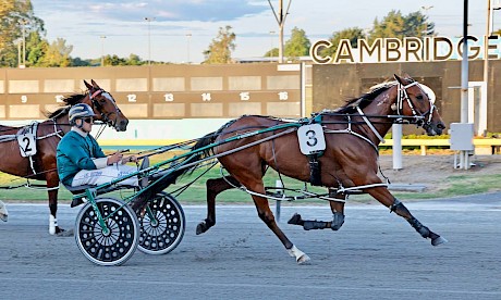 Lincoln La Moose has won two races at Cambridge including this one last December. PHOTO: Ange Bridson.