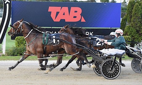 Sugar Ray Lincoln was huge in this win over Tyson last December after an early gallop. PHOTO: Megan Liefting/Race Images.