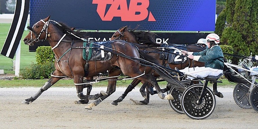 Sugar Ray Lincoln was huge in this win over Tyson last December after an early gallop. PHOTO: Megan Liefting/Race Images.