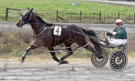 Spreaders should help The Rascal get round the Auckland bends on Friday night.
