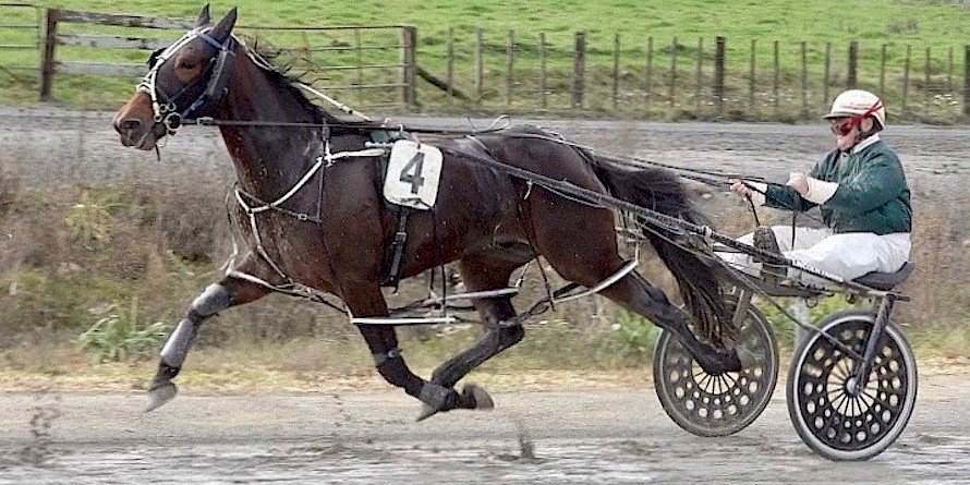 Spreaders should help The Rascal get round the Auckland bends on Friday night.