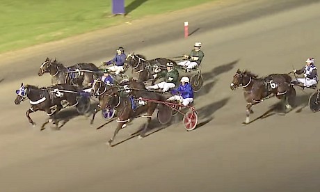 Peter Ferguson has a tight rein on Johnny Lincoln, blocked in behind the leaders close to home last week.