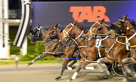 Johnny Lincoln pips Beachbreak, Katie’s Princess, Clouding Over and Franco Salah. PHOTO: Therese Davis/Race Images.