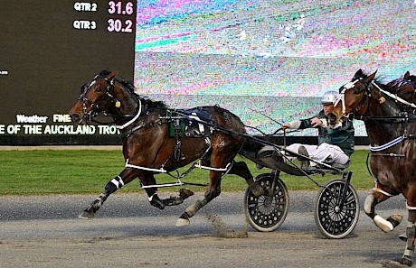 Peter Ferguson urges The Rascal home for his first win. PHOTO: Megan Liefting/Race Images.