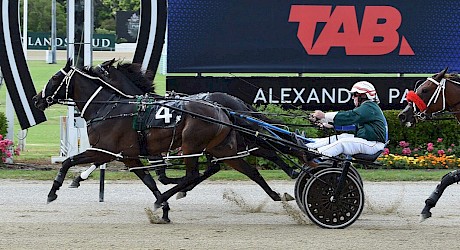 Debbie Lincoln downs Without You and Beetastic at Auckland in February. PHOTO: Megan Liefting/Race Images.