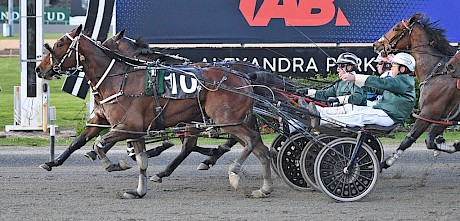 Sugar Ray Lincoln pips Tyson last week. PHOTO: Megan Liefting/Race Images.