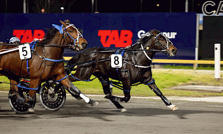 Dreams Of Eric is holding Sky Legacy at Cambridge on Thursday night. PHOTO: Ange Bridson/Race Images.