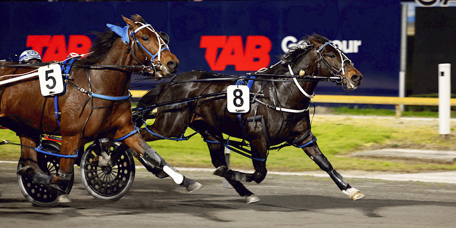 Dreams Of Eric is holding Sky Legacy at Cambridge on Thursday night. PHOTO: Ange Bridson/Race Images.
