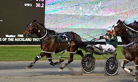 The Rascal rockets through to score at Auckland two weeks ago. PHOTO: Megan Liefting/Race Images.