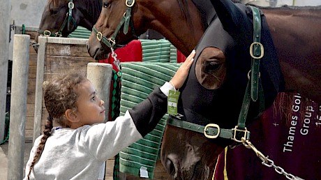 Lincoln Linda gets a pat from a young fan, with a chilled-out Angelic Copy in the background.