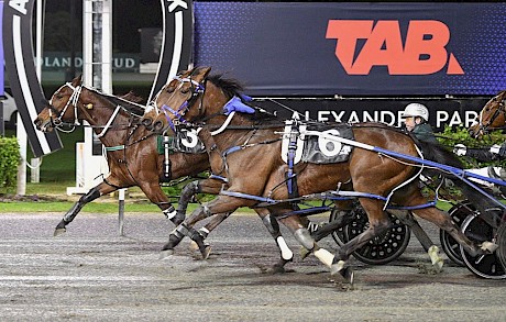 Sugar Ray Lincoln staves off Turn O The Tide and Ragnar Lothbrok on Friday night. PHOTO: Megan Liefting/Race Images.