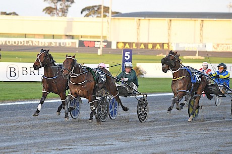 Fergie gets the best out of Tyson who registered his third win at Auckland. PHOTO: Megan Liefting/Race Images.
