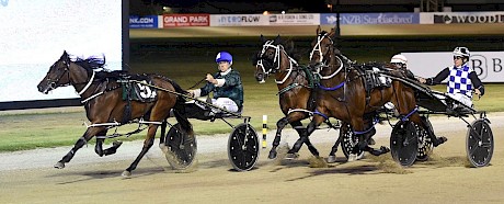 Angelic Copy, unlucky last week and boasted an unbeaten hat-trick earlier in the year. PHOTO: Megan Liefting/Race Images.