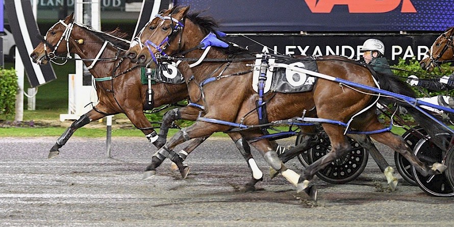 Sugar Ray Lincoln has now put four good races together. PHOTO: Megan Liefting/Race Images.