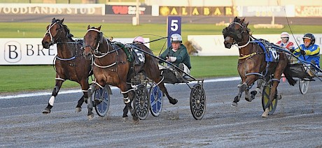 Tyson, centre, likes to race tough. PHOTO: Megan Liefting/Race Images.