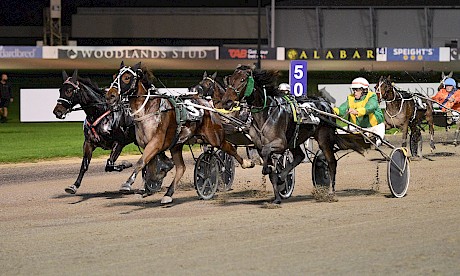 Whats Up The Hill, centre, beating Hillbilly, outer, and Happy Hill at Auckland in April. PHOTO: Megan Liefting/Race Images.