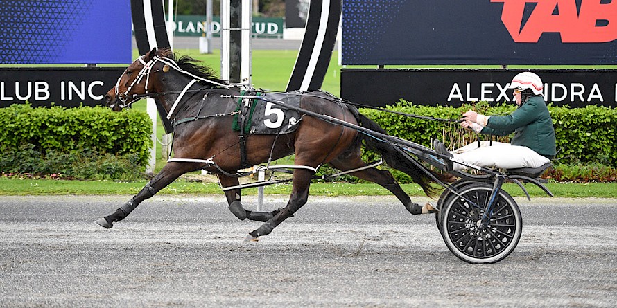 No other 3yo has been around the Alex Park 1700 faster than this win by Debbie Lincoln. PHOTO: Megan Liefting/Race Images.
