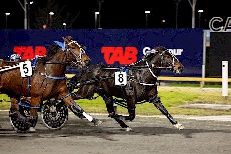 Dreams Of Eric led all the way from gate eight to beat Skys Legacy at Cambridge in August. PHOTO: Ange Bridson/Race Images.