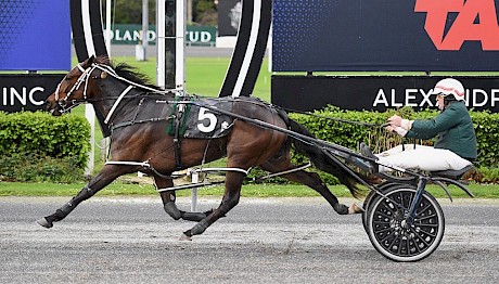 Debbie Lincoln is flying in a 1:53.5 mile rate win at Auckland. PHOTO: Megan Liefting/Race Images.
