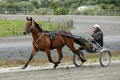 Lincoln’s Spice … out of the fleet-footed Spice It Up.