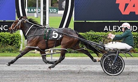 Debbie Lincoln clocks a record mile rate of 1:53.5 for a three-year-old over 1700m at Auckland. PHOTO: Megan Liefting/Race Images.
