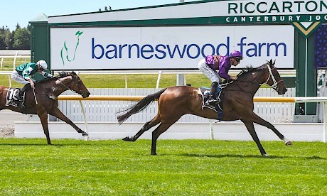 Platinum Attack romps to the line to beat Azeezle in last Saturday’s Pegasus. PHOTO: Ajay Berry/Race Images.
