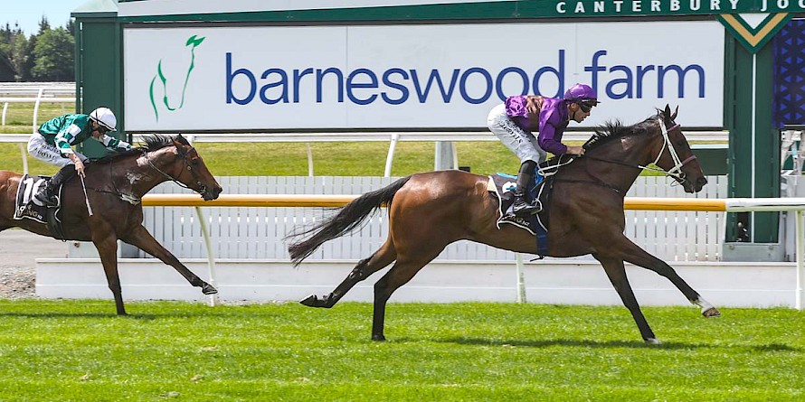 Platinum Attack romps to the line to beat Azeezle in last Saturday’s Pegasus. PHOTO: Ajay Berry/Race Images.