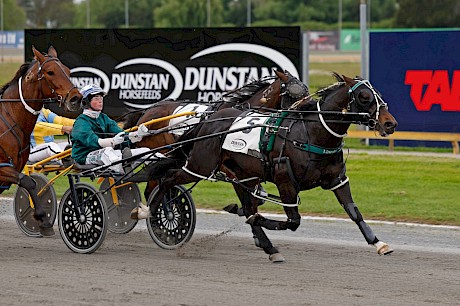 Dreams Of Eric scored his most impressive win yet, at Cambridge last start, after being drilled continuously in the lead. PHOTO: Ange Bridson/Race Images.