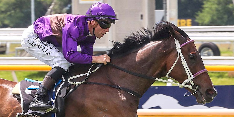 Platinum Attack has not won in conditions worse than a soft 5. PHOTO: Ajay Berry/Race Images.