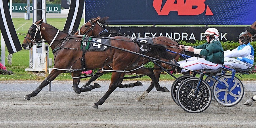 Tyson outgrits Words to score his fourth win on Friday night. PHOTO: Megan Liefting/Race Images.