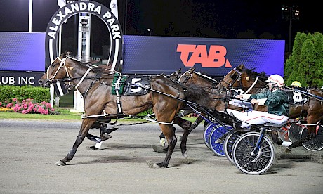 Kevin Kline scores his sixth and final win at Auckland in November. PHOTO: Megan Liefting/Race Images.