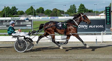 Spiritual Bliss notches a Manawatu double in fine style. PHOTO: Jack McKenzie/Race Images.