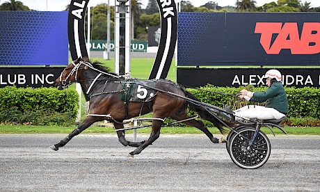 Debbie Lincoln runs a 3yo track record 1:53.5 mile rate for 1700 metres at Auckland. PHOTO: Megan Liefting/Race Images.
