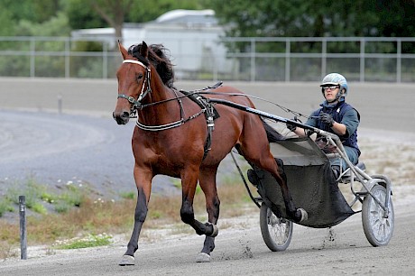 Co-trainer Nathan Delany on the reins behind Lincoln Wave. PHOTO: Trish Dunell.