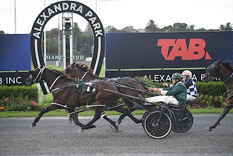 Johnny Lincoln is too tough for Amazing Captain on Friday night. PHOTO: Megan Liefting/Race Images.